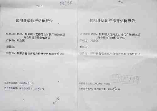 房产评估报告材料翻译