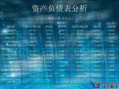 公司报表翻译_公司报表翻译公司