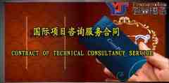 国际项目咨询服务合同(中英文翻译模板）