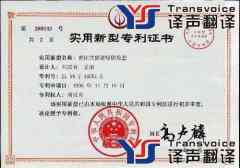 浅谈专利说明书翻译策略
