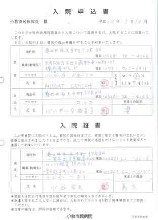 医疗诊断书翻译_诊断证明书翻译_病例翻译(图1) 日语诊断证明翻译